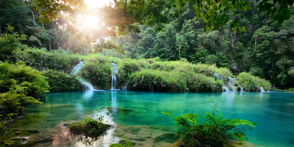 A waterfall in green jungle