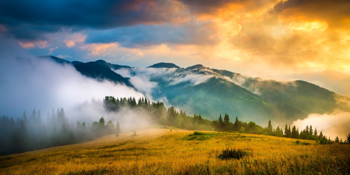 Mist over mountain forests